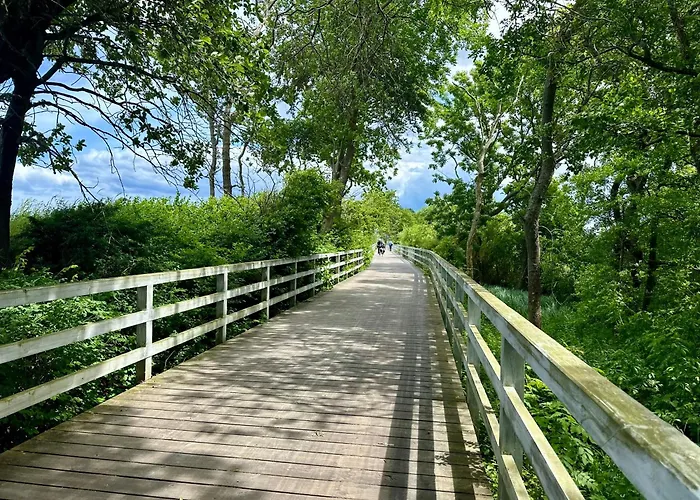 Diva Premium Apartament *